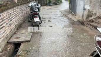 🚀🚀 Đất Đẹp HỒNG VÂN - THƯỜNG TÍN 👉Đường thông ô Tô 

⛔️Diện tích: 7