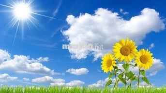 Cho thuê phòng trọ sinh viên ở Lĩnh Nam