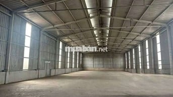 Cho thuê xưởng 1000m² tại Hội Nghĩa Tân Uyên Bình Dương