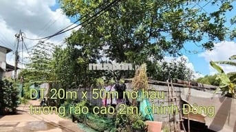 Đất nông nghiệp sổ riêng 1000m2 vĩnh lộc A bình chánh tphcm