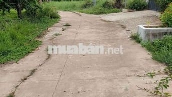 Đất vườn trái cây gần trung tâm