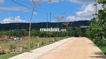 Chính chủ cần bán 200m² sẵn thổ cư chỉ 430 triệu tại Đinh Văn Lâm Hà