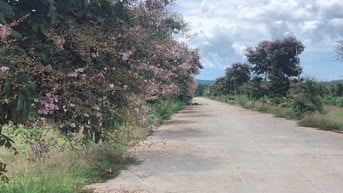 Bán đất tại Ba Trại, ấp Khu Tượng, Cửa Dương, Phú Quốc, Kiên Giang
