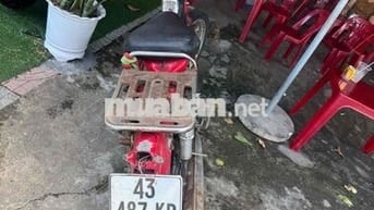 cub 50 giấy đầy đủ