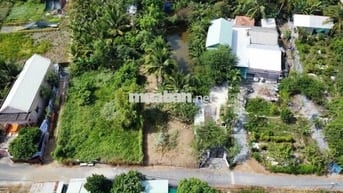 241m2 thổ cư đường nhựa 5m sát thị trấn Cần Giuộc