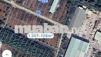 Chính Chủ gửi Bán Lô Đất Tuyết Mai 5 Bà Rịa