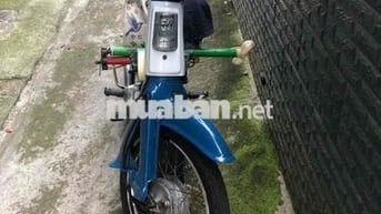 Xe Honda Cub 81
