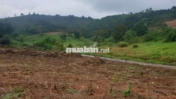 ĐẤT NGỘP GIÁ RẺ SẴN THỔ CƯ THUỘC TÂN LẠC