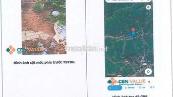 Bán ĐGTS đất tại TĐ số: 559, xã Bảo Lâm 2, tỉnh Lâm Đồng