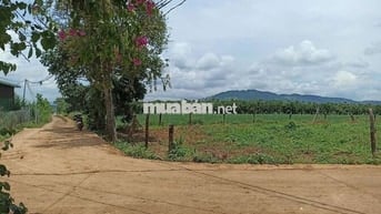 Chính chủ bán lô đất cực đẹp cách quốc lộ 27 chỉ 500m gần sân bay