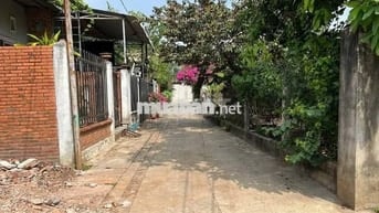 ĐẤT PHÚ CƯỜNG – GẦN PHỐ ĐI BỘ BẠCH ĐẰNG  1 TỶ 650