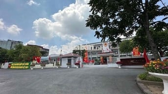 LÔ GÓC SIÊU THOÁNG - VÀI BƯỚC CHÂN RA TRỤC CHÍNH KINH DOANH SẦM UẤT-15