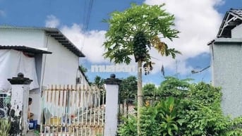 BÁN GẤP LÔ ĐẤT 277m2 THỔ CƯ NGANG 7m ĐƯỜNG NG PHONG SẮ  , SHR, NỞ HÂU