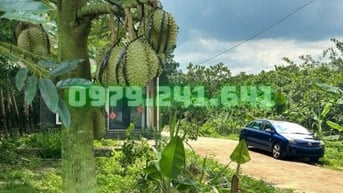RẼ NHẤT ĐỒNG NAI VƯỜN VIEW SUỐI 1889m2 GIÁ 470 TRIỆU