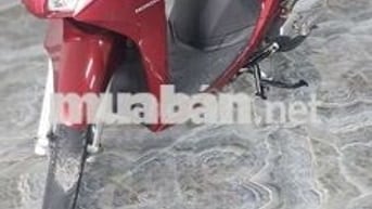 Xe honda vision bs 65