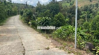 Cần bán gấp lô đất Madagui cách ql20 200m