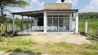 835 triệu sổ hữu ngay ngôi ngà cấp 4 trên đất 617m2 tại Minh Thạnh