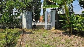 ĐẤT VƯỜN 1000m2 SẴN SỔ mặt tiền đường 16m