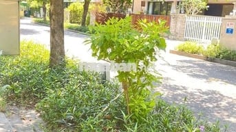 Bán lô đất đẹp cc: Đồng Dương,Thăng Bình giá mềm.ngang 12,790 triệu
