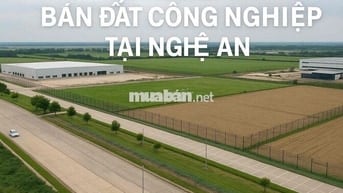 🚀 ĐẤT CÔNG NGHIỆP – TMDV NGHỆ AN, GIÁ TỐT, SỔ SÁCH RÕ RÀNG 🚀