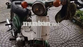 Xe cub 81 ko cavet