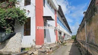 Cho thuê kho xưởng 2.400m2, trong KCN Tân Tạo, Bình Tân, PCCC tự động