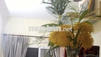 Cho thuê căn hộ Lê Thành Mã Lò 41m2 có ban công