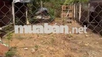 Bán đất đường bình hoà cây dương -vĩnh cửu