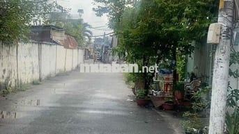 mình cần tìm 1 bạn nữ ở ghép cùng