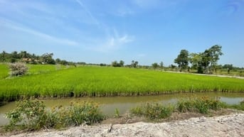 Bán đất 6000 m2 tại xã Hòa Khánh Nam, Long An cách TPHCM 40km