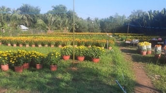 Đất sang phẳng cho thuê giá rẻ