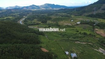 BÁN 4600M2 ĐẤT VƯỜN CÓ 300M ĐẤT Ở VỊ TRÍ ĐẸP VIÊW ĐỒI NÚI