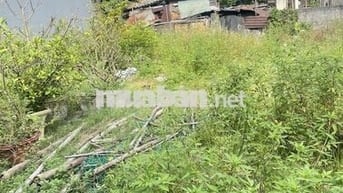 Chính chủ cần bán 120m2, nở hậu, gần lộ.