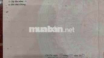 Rao bán nhà mặt tiền nhựa ở Chợ Việt Kiều,Củ Chi 140m2 nhà mới 785Tr