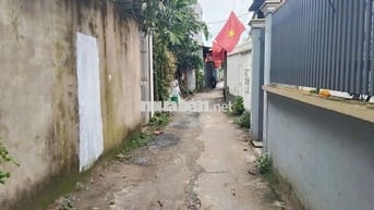 Cho Thuê Nhà Nguyên Căn Hẻm Số đỏ, Cồn Khương