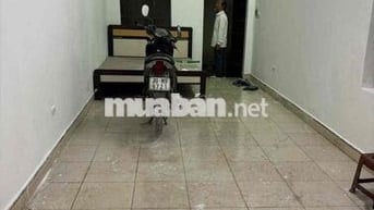 Cho thuê nhà trong ngõ 29 bà triệu Hà Nội