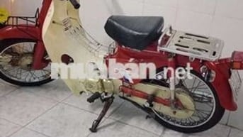 Xe Cúp Nhật có đề