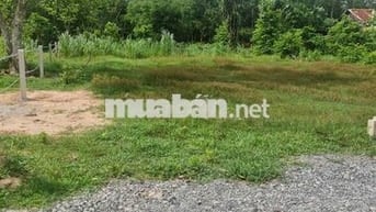 Chủ ngộp bán gấp, giá sốc, chỉ 168tr hết đất, 6x28, thổ cư 100%