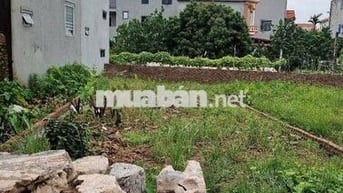✨️Bán 80m2 Đại Thịnh, Mê Linh – MT rộng,Ô Tô đỗ cửa–Trung Tâm Mê Linh