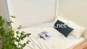 ✨Siêu phẩm Studio cửa sổ_Full NT_Free xe gần Đại học Kinh Tế