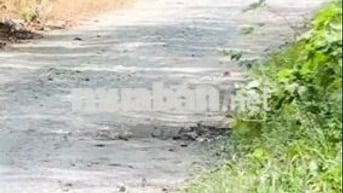 Bán đất ngộp đường DT787 Tây Ninh