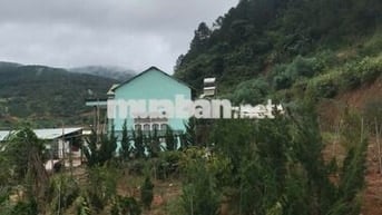 Chính chủ cần bán 1000m2 nn Tà Nung Đà Lạt - 1.3 tỷ