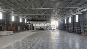 CHO THUÊ KHO 450M2 ĐƯỜNG LÊ TRỌNG TẤN KẾ KCN TÂN BÌNH ĐƯỜNG TẢI