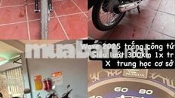 wave siêu lướt 19.5tr