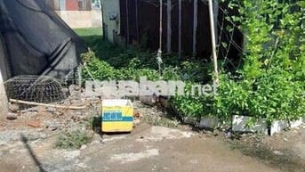 CẦN TIỀN BÁN GẤP LỘ ĐẤT GẦN CHỢ LIÊN ẤP 123