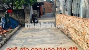 Đất nền Thanh Oai- Sổ đỏ chính chủ