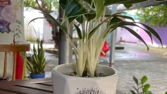 CẦN VÀI BẠN PHỤ CHỊ BÁN ĐỒ UỐNG , HÀNG HOÁ 