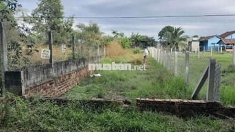 Đất thổ cư Thị trấn Hậu Nghĩa - sát bên Vinhomes Green City