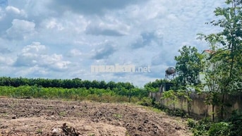 Chủ gửi bán lô đất gần chợ và kcn - sổ sẵn