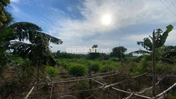 Lô đất diện tích hơn 1000m², mặt tiền rộng, ô tô ra vào thoải mái.